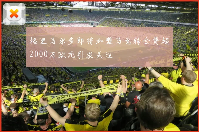 格里马尔多即将加盟马竞转会费超2000万欧元引发关注