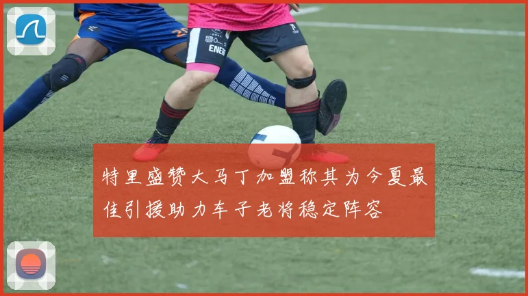 特里盛赞大马丁加盟称其为今夏最佳引援助力车子老将稳定阵容