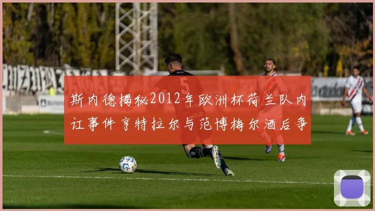斯内德揭秘2012年欧洲杯荷兰队内讧事件亨特拉尔与范博梅尔酒后争执内幕