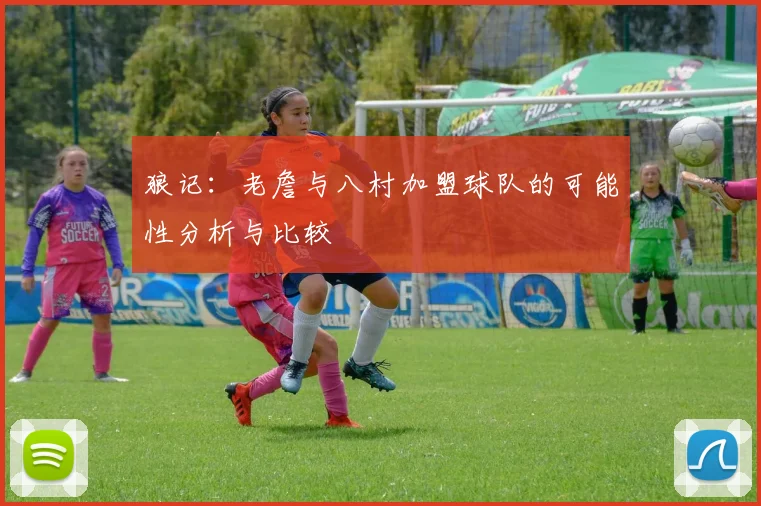 狼记：老詹与八村加盟球队的可能性分析与比较