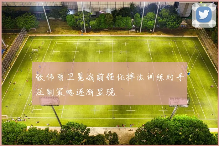 张伟丽卫冕战前强化摔法训练对手压制策略逐渐显现